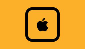 هویت برند چیست؟